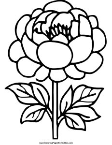 Flowers Coloring Pages: 10 Free Printable PDFs