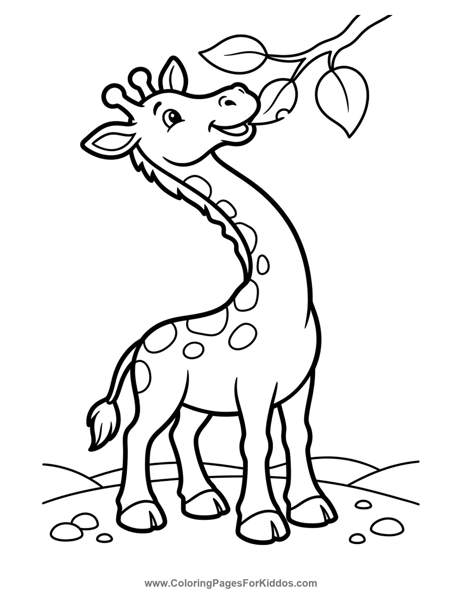 Tall Giraffe Eating Leaves coloring page